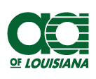 Appraiser Associates of Louisiana Logo